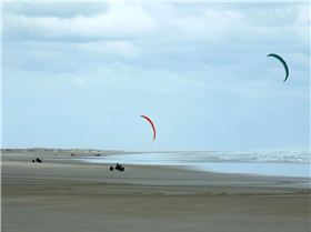 22528982 10155238469086443 8971312783845467537 o