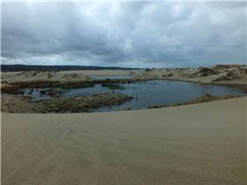 22548664 10155238465031443 2258144623101184501 o