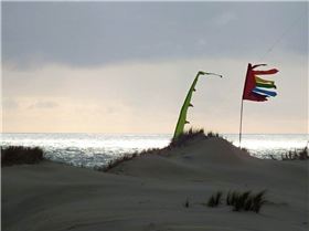 22550128 10155238466011443 5452437125523133715 o