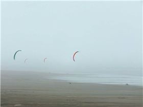 22550393 10155238466241443 5567021226607226158 o