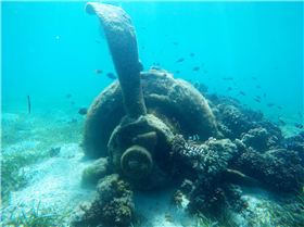 Moon Tours - PNG KITE TRIP