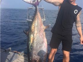 Moon Tours - PNG KITE TRIP