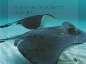 Screenshot 2017-11-25-19-56-51