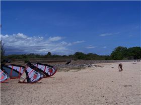 2008 Revolver protos