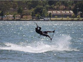 Mariones from Brazil