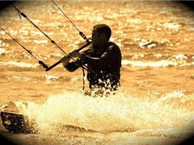 Mariones from Brazil - Gold Wind