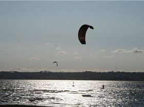 Mariones from Brazil - Paranoá Lagoon 