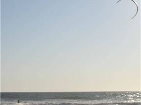 That fresh new smell 