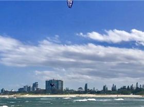 kite cotton tree me 2018