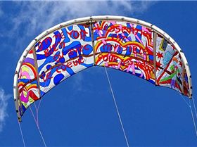 piccolo principe-crop-u19863