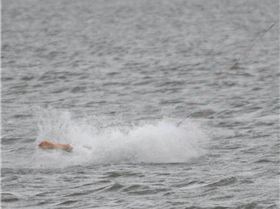 Screenshot 2018-02-09-19-50-58