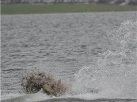 Screenshot 2018-02-09-19-50-24