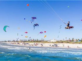 Adelaide International Kite Festival