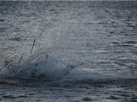 Kitesurfing