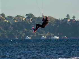 Love watching them fly