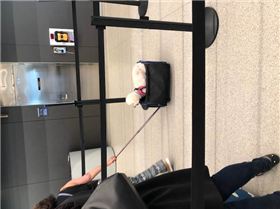 Just boarded a plane in Chicago and had this lady with cabin baggage pass us.