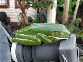 WhatsApp Image 2018-06-14 at 3.12.50 PM (3)