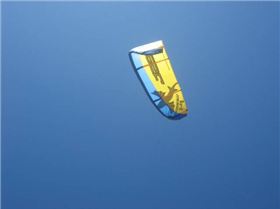 best 14m waroo 4 sale shot at moreton island