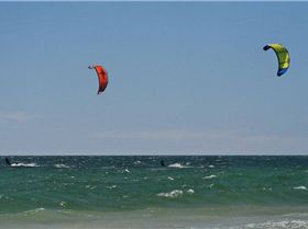 photos available-  Sunday 11/11/2007 - set 1