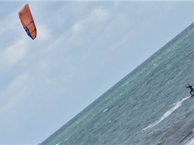 Trying out my new camera and came across you guys