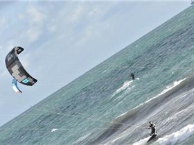 Trying out my new camera and came across you guys