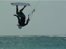 The guy who does the NEW kites.