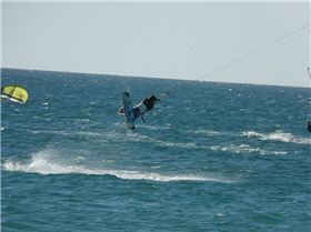 Young guns some afternoon at Pinaroo (Serie 4)