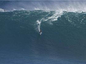 Swimming with the fishes