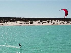 shark bay foil 3