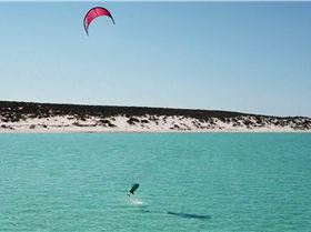shark bay foil 2