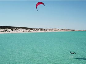 shark bay foil 5