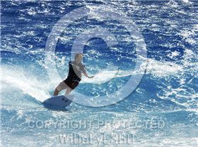 More at http://www.photography.wideeye360.com/gallery.php?gid=60