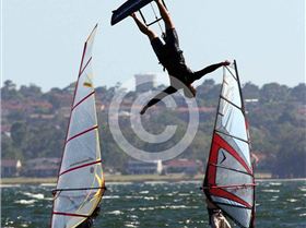 Pelican Point : 27th December