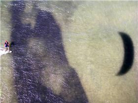 Kite cam pics from botany bay