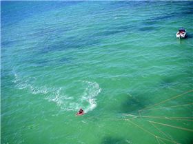 Kite cam pics from botany bay