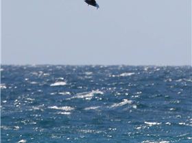 WAKSA Big Air : 27th January.