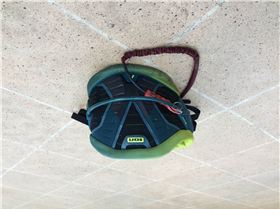 Ion Harness