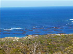 Missing kiter 4.1.2019 unique stretch of coast.Its not ideal for a port