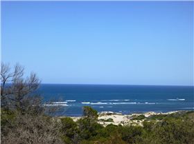 Missing kiter 4.1.2019 unique stretch of coast.Its not ideal for a port