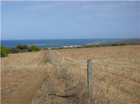 Missing kiter 4.1.2019 unique stretch of coast.Its not ideal for a port