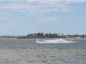 SOS photos of Damo at Pelli point