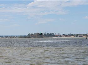 SOS photos of Damo at Pelli point