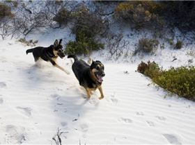 Kitestock- How awsome!