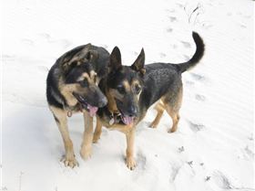 Kitestock- How awsome!