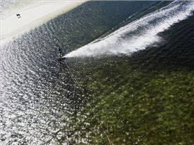 Wally Point Speed:  Every man and his dog!