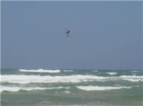 Southerly Change Sat 23rd Feb