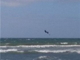 15781092 978283162304742 3574667159334169272 n