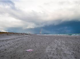 LRM EXPORT 147730041970159 20190419 102037014