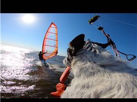 Screenshot 20190705-072647