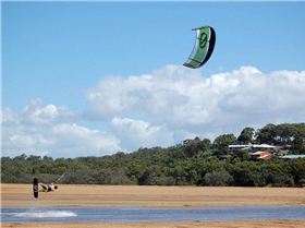 Coconet Classic 2008